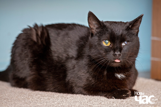 img_1663_logo.jpg img_1663_logo.jpg