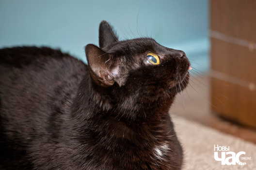 7/11 img_1667_1_logo.jpg