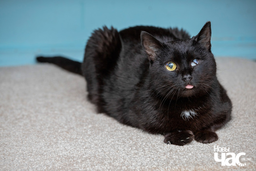 img_1672_logo.jpg img_1672_logo.jpg