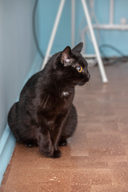 2/11 img_1673_logo.jpg