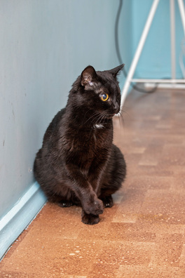 img_1675_logo.jpg img_1675_logo.jpg