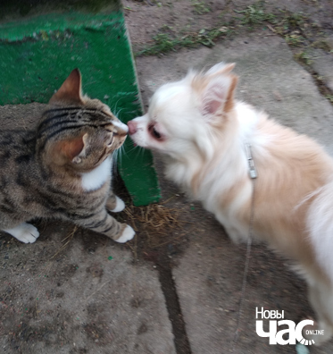 img_20191208_111836_1_logo.jpg img_20191208_111836_1_logo.jpg