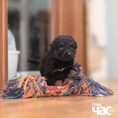 2/5 img_20200116_115800_090_logo.jpg