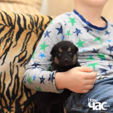 3/5 img_20200116_115800_108_logo.jpg