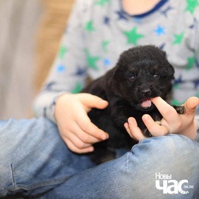 1/5 img_20200116_115800_114_logo.jpg