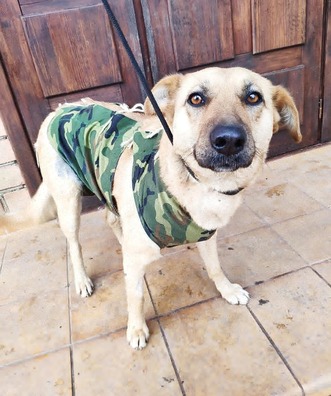 img_20200205_150530_858_logo.jpg img_20200205_150530_858_logo.jpg