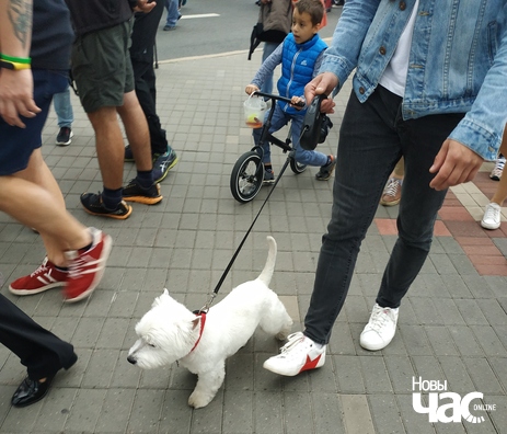 39/42 img_20200906_155738_logo.jpg