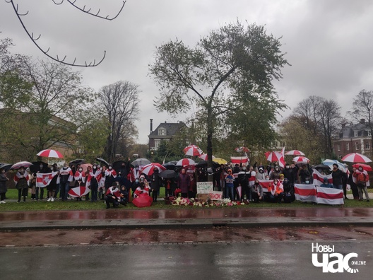 8/17 img_20201115_150516_logo.jpg