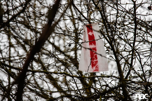 img_2188_3_logo_1.jpg img_2188_3_logo_1.jpg