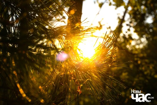 img_2326_edited_logo.jpg img_2326_edited_logo.jpg