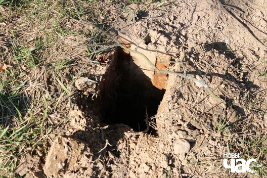 11/20 img_3270_1280x853_logo.jpg