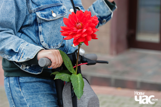 6/10 img_3354_1_logo.jpg