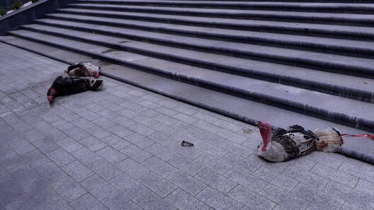 img_368787_0043462001560079613.jpg img_368787_0043462001560079613.jpg