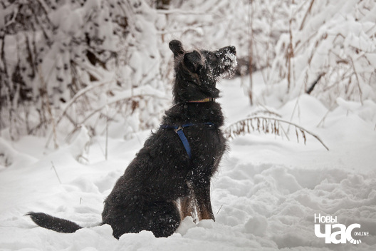 img_4036_logo.jpg img_4036_logo.jpg