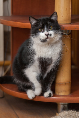 11/11 img_4269_logo.jpg