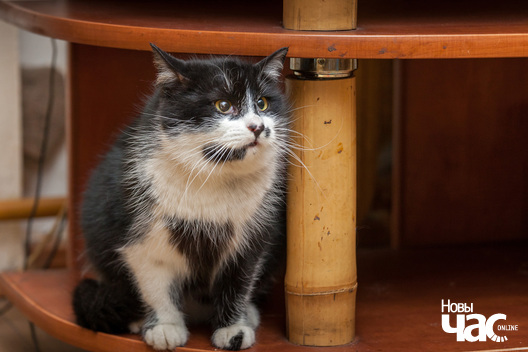 9/11 img_4273_logo.jpg