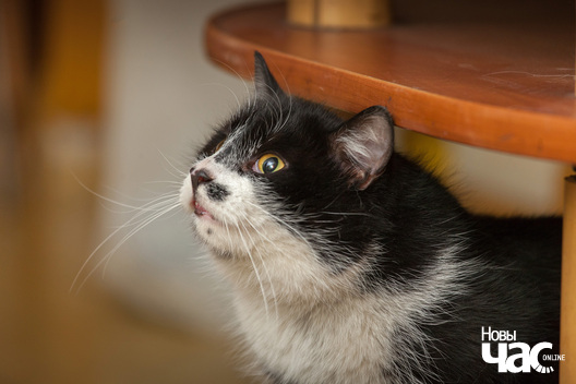 1/11 img_4284_logo.jpg