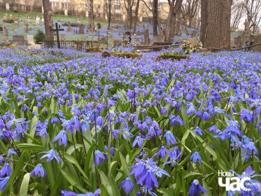 img_4721_logo.jpg img_4721_logo.jpg