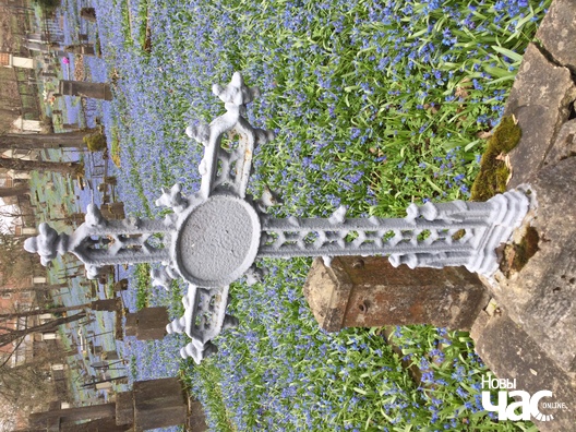 img_4723_logo.jpg img_4723_logo.jpg