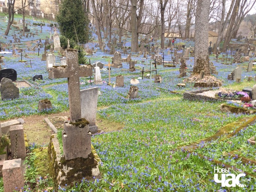 img_4726_logo.jpg img_4726_logo.jpg