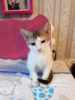 img_481f7af0969ed04d92515490585a8c10_v_logo.jpg img_481f7af0969ed04d92515490585a8c10_v_logo.jpg