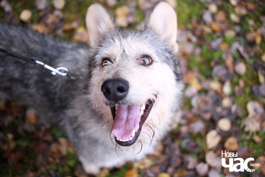 img_5482_1_logo.jpg img_5482_1_logo.jpg