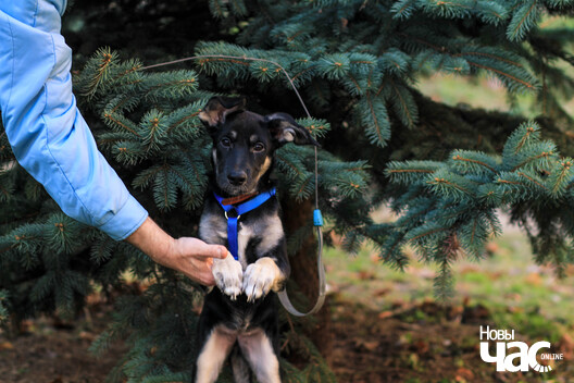 img_5492_logo.jpg img_5492_logo.jpg