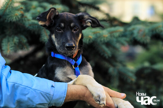 img_5543_logo.jpg img_5543_logo.jpg