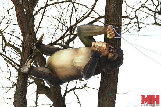 2/11 img_5562_kopiya_900x600.jpg