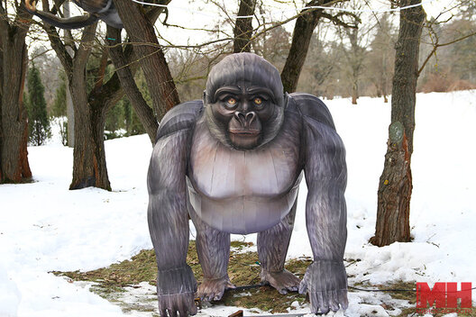 4/11 img_5572_kopiya_900x600.jpg