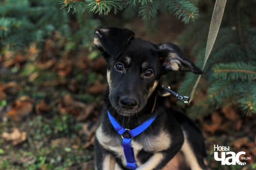 img_5630_logo.jpg img_5630_logo.jpg