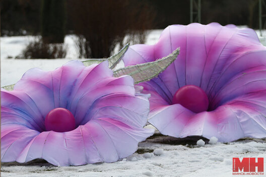 6/11 img_5661_kopiya_900x600.jpg