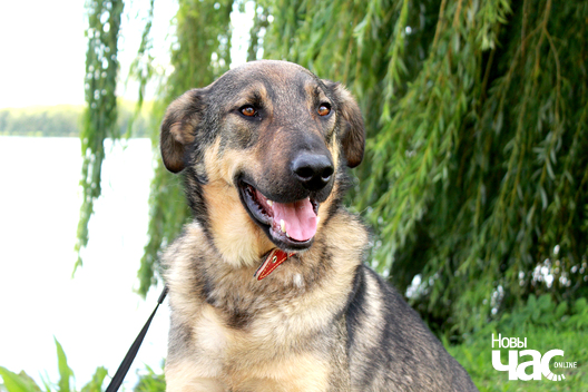 img_7643_logo.jpg img_7643_logo.jpg