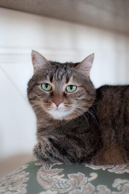 img_76cd47480ccab0400b13965174405e1c_v_logo.jpg img_76cd47480ccab0400b13965174405e1c_v_logo.jpg