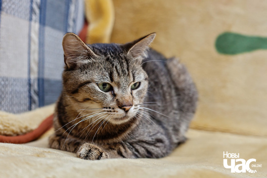 9/12 img_8160_1_logo.jpg