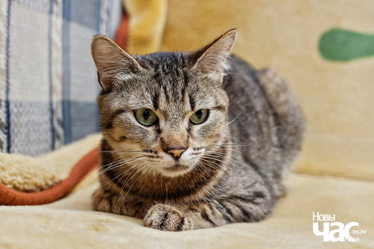 10/12 img_8162_1_logo.jpg