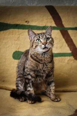 img_8167_1_logo.jpg img_8167_1_logo.jpg