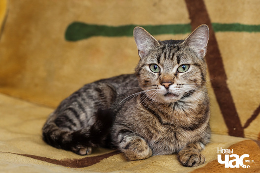 img_8184_1_logo.jpg img_8184_1_logo.jpg