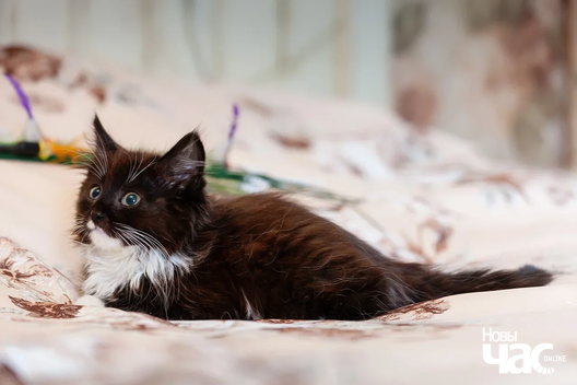 img_8821_2_logo.jpg img_8821_2_logo.jpg