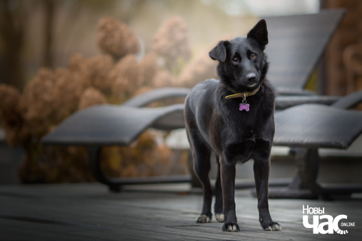 img_9166_1_logo.jpg img_9166_1_logo.jpg