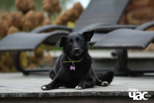 img_9172_logo.jpg img_9172_logo.jpg