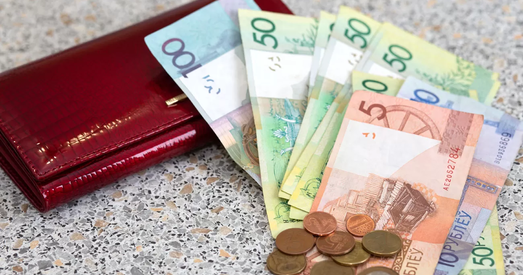 У Беларусі паменшыўся сярэдні заробак