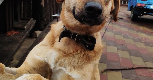 Дора падорыць сяброўства!