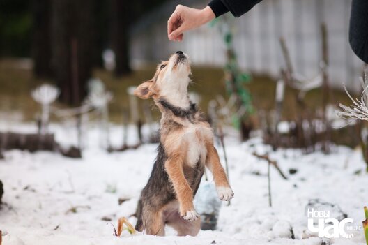 img_da8fc7a66f6952fb0e778fc828de7939_v_logo.jpg img_da8fc7a66f6952fb0e778fc828de7939_v_logo.jpg