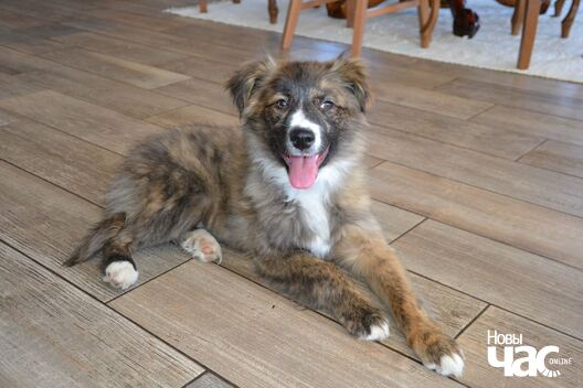 img_e91be9d2f23a9d4c9afc5acd38a38635_v_logo.jpg img_e91be9d2f23a9d4c9afc5acd38a38635_v_logo.jpg