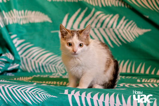 2/5 imgl2667_logo.jpg