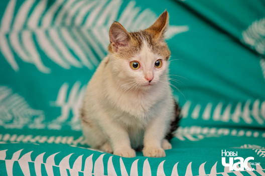 4/5 imgl2669_logo.jpg