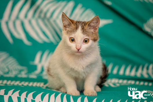 imgl2671_logo.jpg imgl2671_logo.jpg