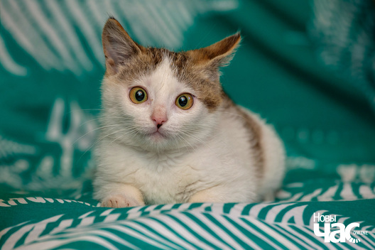 5/5 imgl2677_logo.jpg