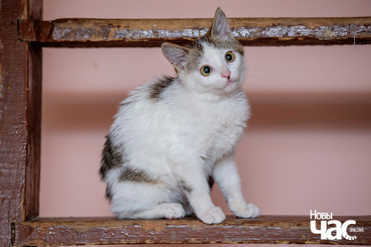 3/5 imgl2681_logo.jpg